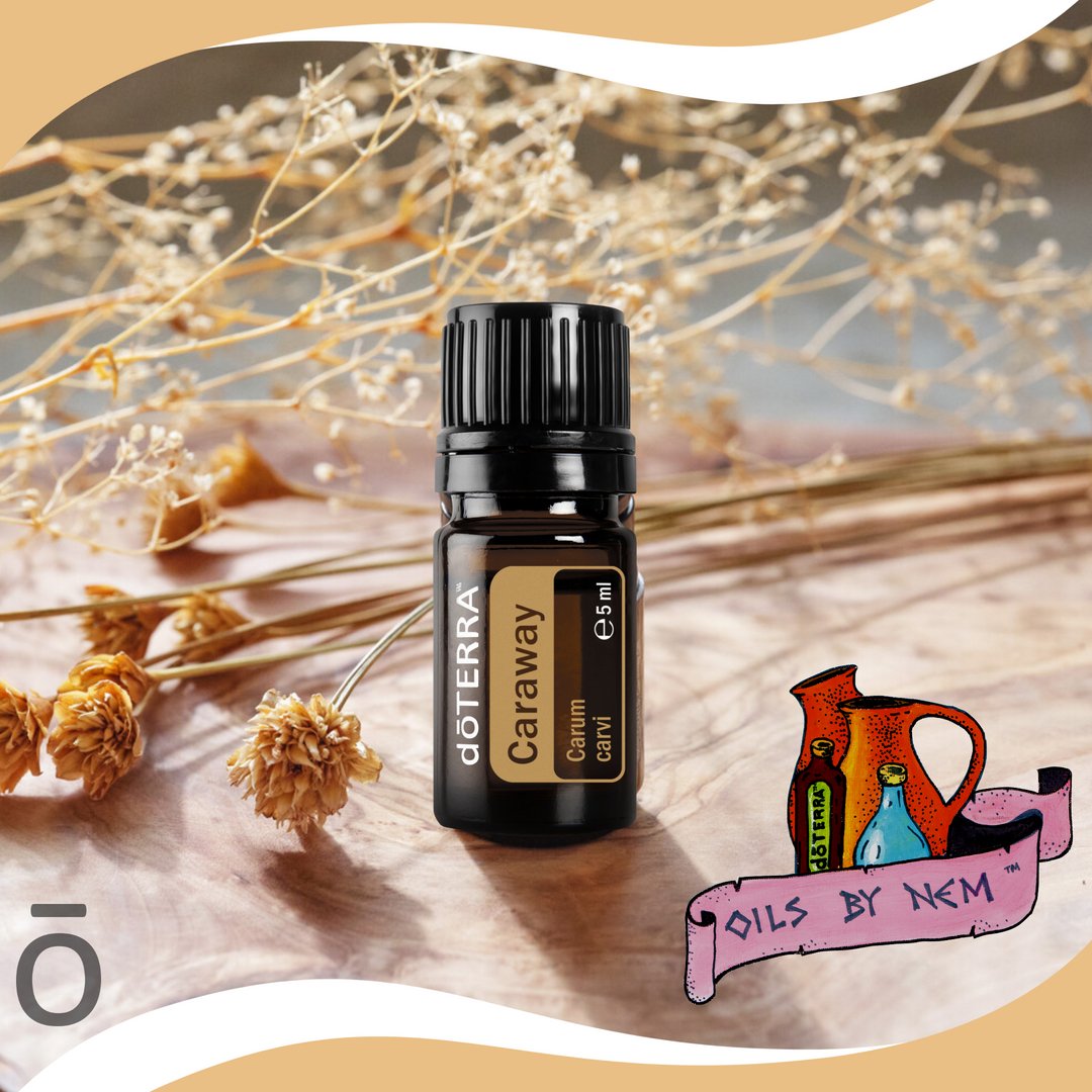 Caraway from doTERRA! It has a unique taste – somehow warm and slightly peppery. It has been used for centuries, even the Romans knew its benefits. rpb.li/eaI 
🏺#OilsByNem #dōTERRA® #cptg #Wellness #EssentialOil #Ayurveda  #EssentialOils #Oils4Life #Caraway #OilUp~!