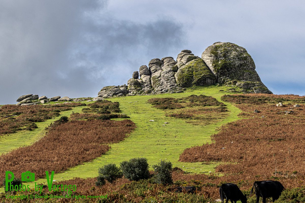 And it's also #RockinTuesday 👏👏
Haytor, in Dartmoor National Park, Devon, UK
#NationalParksWeek