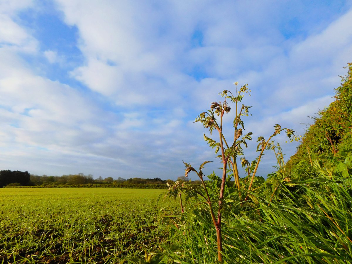 A little brighter start than yesterday #loveukweather #lincs