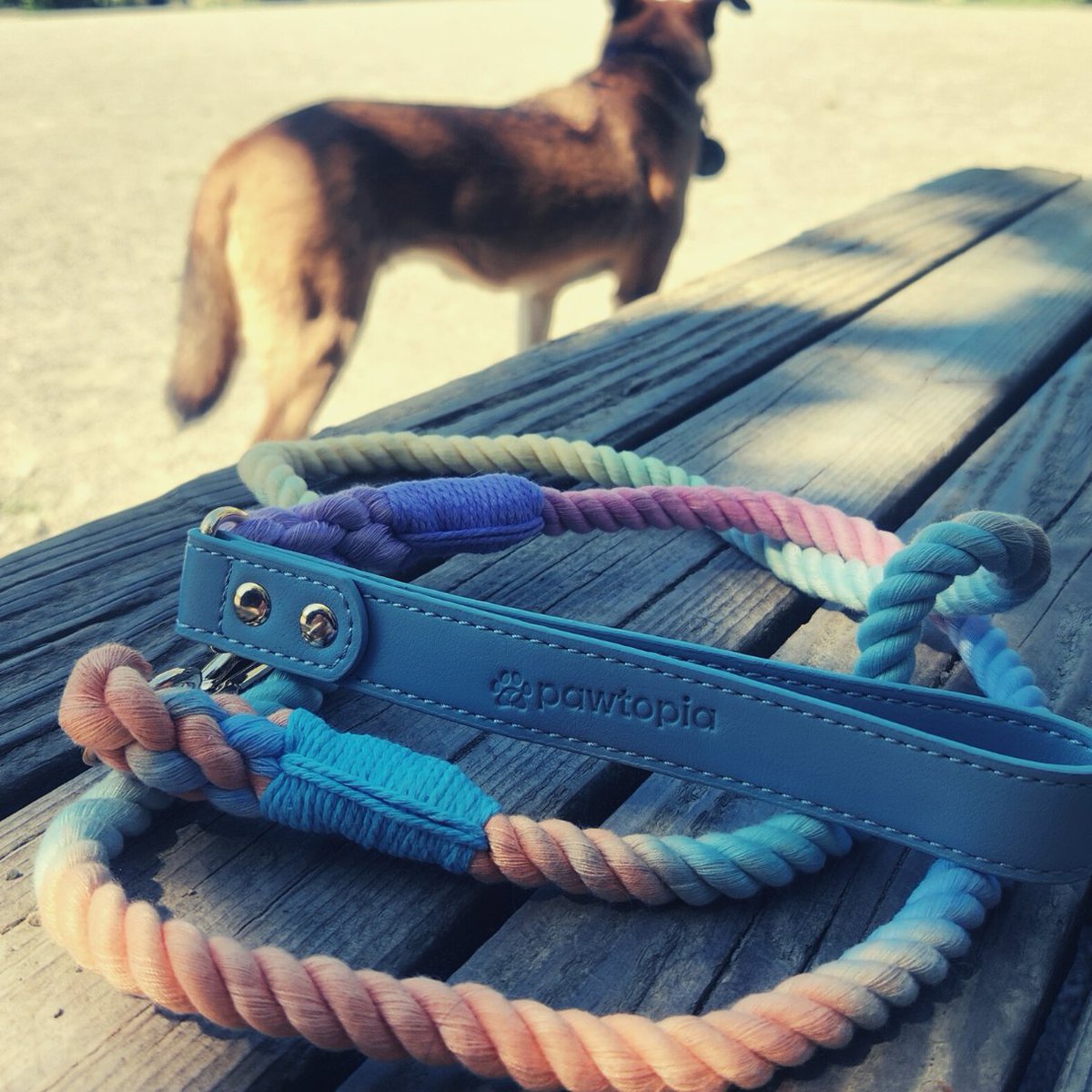 ThePawtopia's tweet photo. This adorable, colorful cotton rope leash and collar set is now available for purchase at https://t.co/Ht6WSxTBXP!

Come check it out and enjoy a 20% discount with code "HappyPaw20" until April 28th. We hope you love our new product!

#EarthCare #earthday #leash #dogcollar https://t.co/2yaEfd1ujH