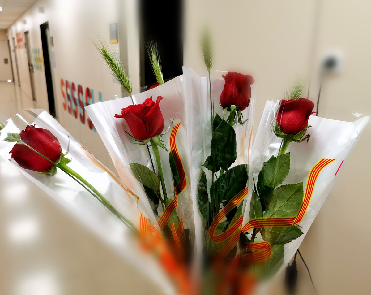 Hoy #SantJordi2024 empieza en el Hospital, celebrando la amistad. #SumandoJuntas #enfermeras.
