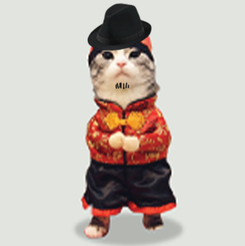 BaoCatSol's tweet photo. $BA0 Feeling bullish !!!

乐观

ca:
ByQ75t1BhPJ2CwiUKcwqxDautT6vjdw74kzRUwKofxNs https://t.co/ojY4BxXW0O