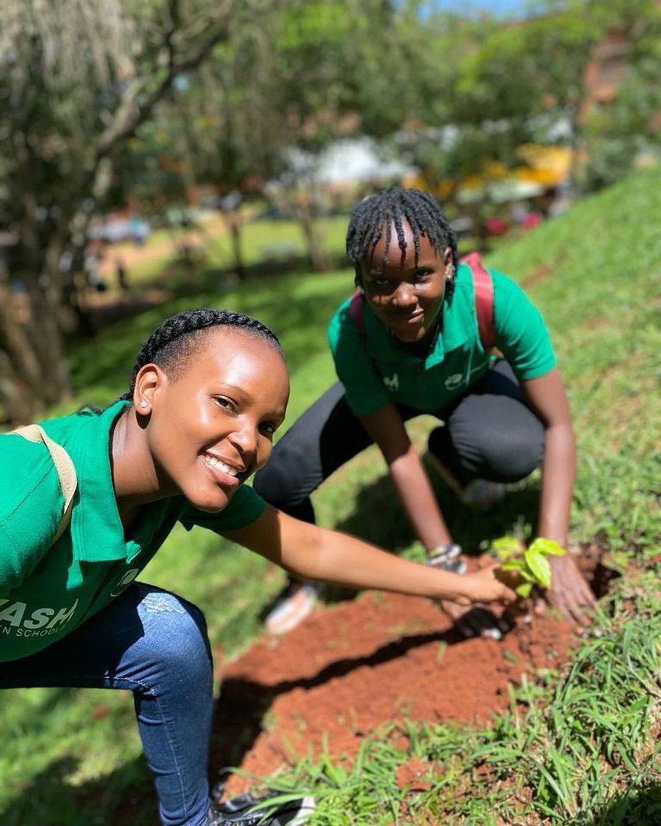 Let's roll up our sleeves and get our hands dirty. Let's plant trees, not just for ourselves, but for future generations. Together, we can create a world where forests thrive, ecosystems flourish, and the beauty of nature is preserved for all to enjoy. #EnvironmentalStewardship