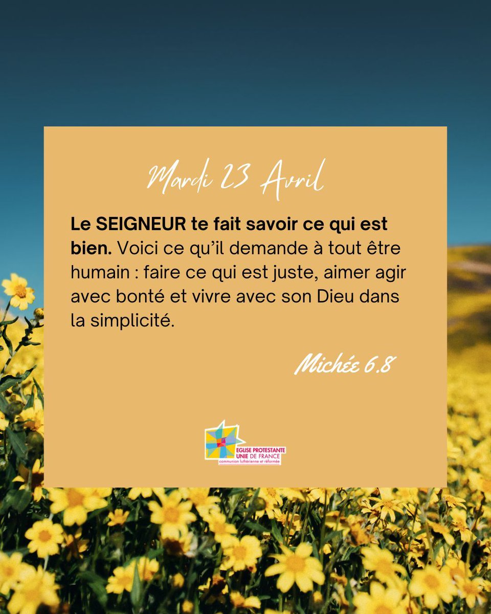 EPUdF's tweet image. 🌿 Michée 6:8 🌿
"Le SEIGNEUR te fait savoir ce qui est bien. Voici ce qu’il demande à tout être humain : faire ce qui est juste, aimer agir avec bonté et vivre avec son Dieu dans la simplicité."
🌟 #Justice #Bonté #Simplicité #VersetsBibliques #Michée