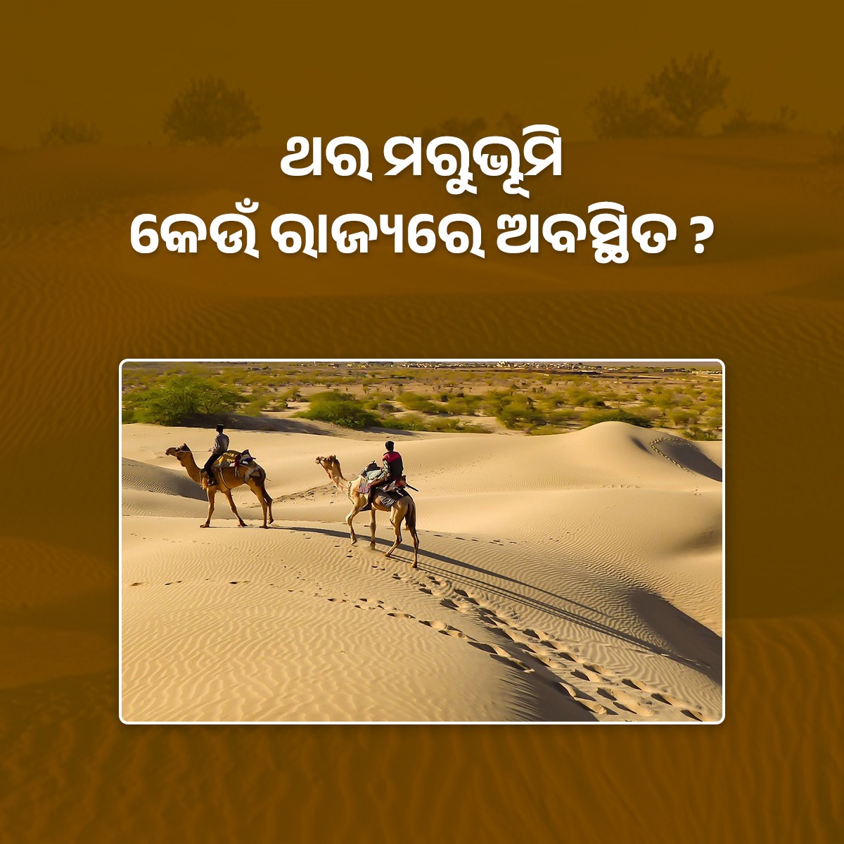 କୁଇଜ୍ ଟାଇମ୍ - ଥର ମରୁଭୂମି କେଉଁ ରାଜ୍ୟରେ ଅବସ୍ଥିତ ? @PCDept_Odisha @SDGOdisha