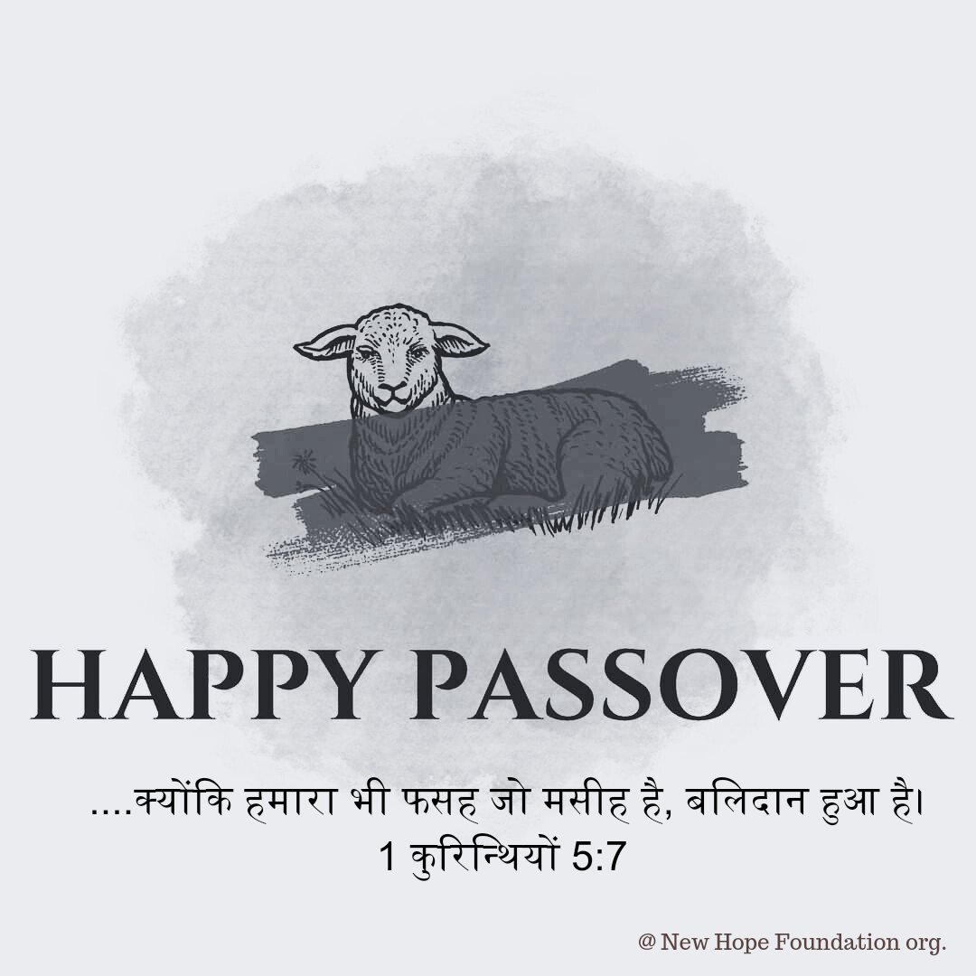 Rev_Aniruddh's tweet photo. Happy Passover 2024 #HappyPassover #happypassover2024 https://t.co/II04BTfQEs