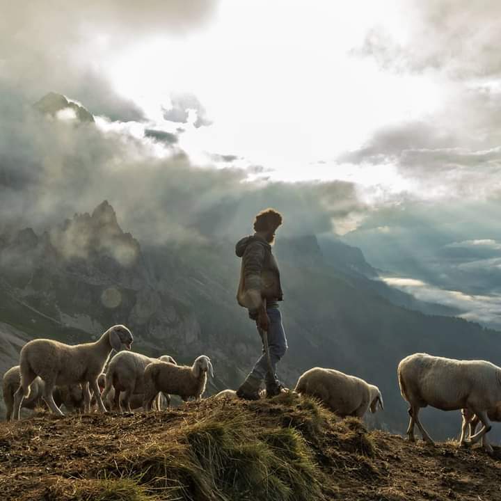 FrancescoAslan Pacia tweet media