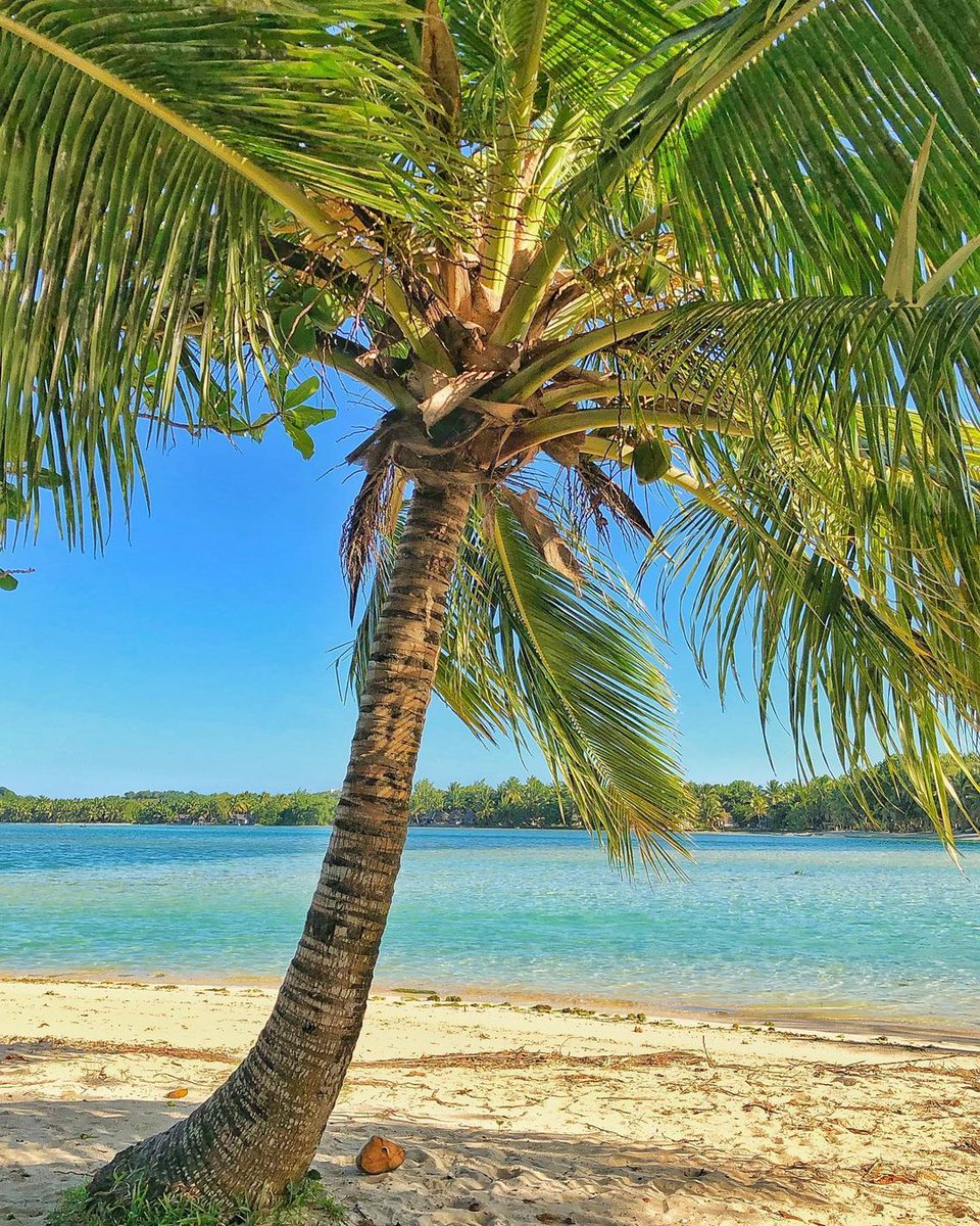 The irresistible call of the beach🌴! can't wait for the summer break! Who else wants to relax on warm sands and dive into crystal-clear waters? 🏖️
.
.
📍 Sainte-Marie

📸 ©eliot_brown_

#MyMadagascar #VisitMadagascar #saintemarie