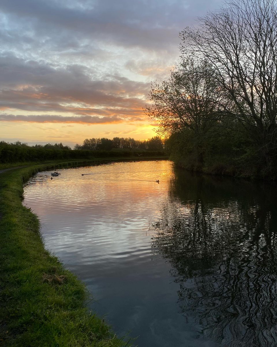 A rather special sunshine morning, just the sound of birdsong to accompany me on my walk today. A delightful start to the day! #dailywalk #timeinnature #wellbeing #canal #earlymorning #sunrise