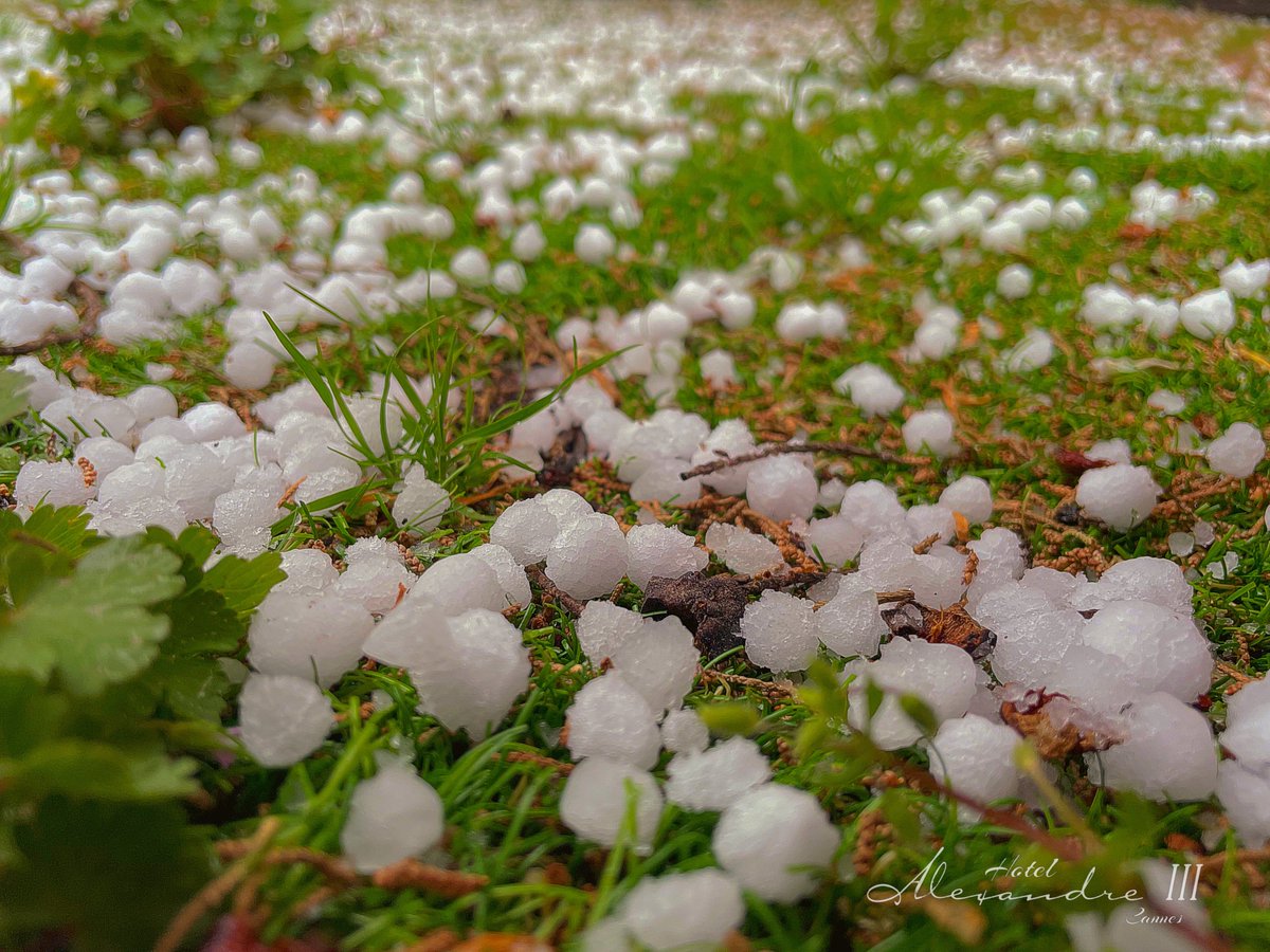 Golf. 

#golf #cotedazurfrance #golfballs #lagrele #hail #cannes #cannes2024 #onatousbesoindusud #bienvenueacannes #festivaldecannes #cannesfilmfestival #cannessoleil