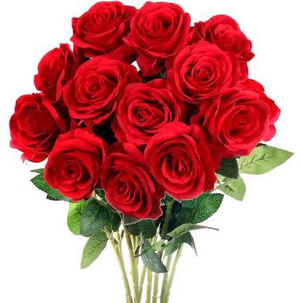 @boldcolours @cssmjcksn @tonde_tonderai @sunduzawekanyi @sundu Speaking of flowers, let me hurriedly dispatch this bouquet to a special queen, @OctaviandlovuN. May your day bring smiles and success to a warm heart.