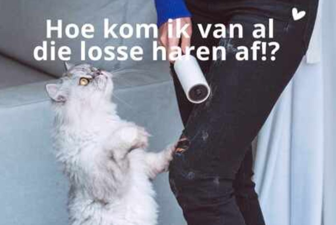 Omdat er veel vraag is naar het webinar staat de replay tijdelijk online.

puur-katten.webinargeek.com/hoe-kom-ik-van…