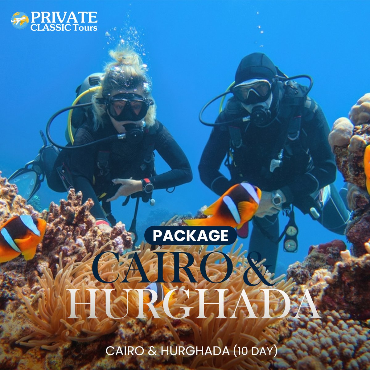 🇪🇬 Hurghada  : 

Dive the Silent World! 
---
🔖Book your unforgettable adventure now!
---
➡️🌐 Website:  bit.ly/4b8Ho8P
---
- Contact us : 
☎️WhatsApp : +201226660955
📩Email : info@privateclassictours.com
#Hurghada #Diving #UnderwaterWorld #Travel #Egypt