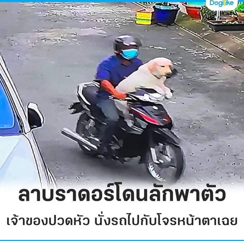 RadaLaphasrada's tweet image. ยอมไปกับเขาเฉยเลย 🤣🤣🤣🤣