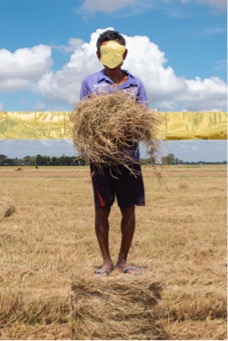 Prof Katherine Brickell tweet media