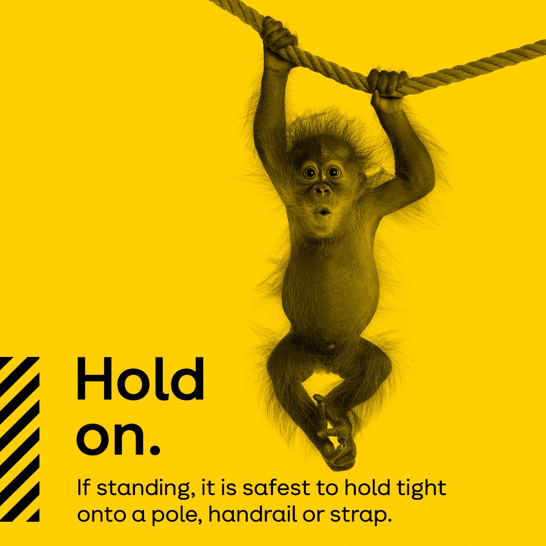 Be a chimp-ion and hold on as soon as you get onboard. Accidents can happen to anyone, at any time no matter how regularly you travel.
