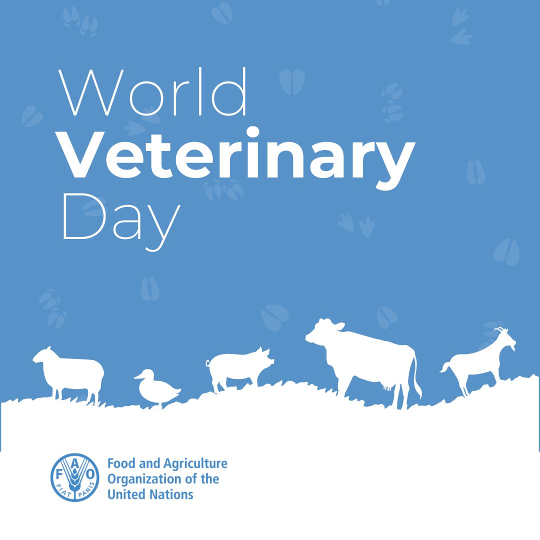 Today, #WorldVeterinaryDay, we spotlight the vital work @FAO and Mozambique's vets do for animal health and safety, crucial for our food security and livelihoods. Let's celebrate their dedication to both livestock and community welfare. 🐾🇲🇿