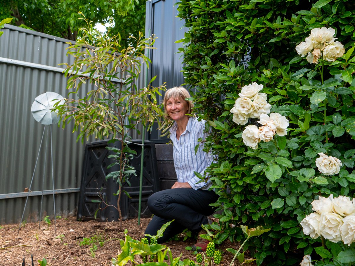Fancy a free tree for your garden? That's right, our popular Native Tree Giveaway is BACK for 2024! 🌳 For full details and to redeem a voucher, go to burnside.sa.gov.au/TreeVoucher