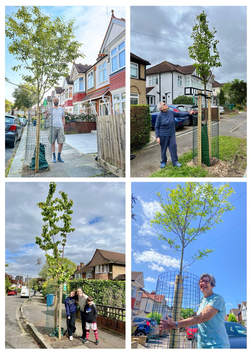 Local residents planting clean air🧑‍🤝‍🧑🧑‍🤝‍🧑🌳🌳 The #Harrow community has joined forces with @treesforstreets & @harrow_council to help sponsor an extra 104 street trees this year - making a total of 404 trees in the past 3 seasons. 👉You can make it happen TreesforStreets.org