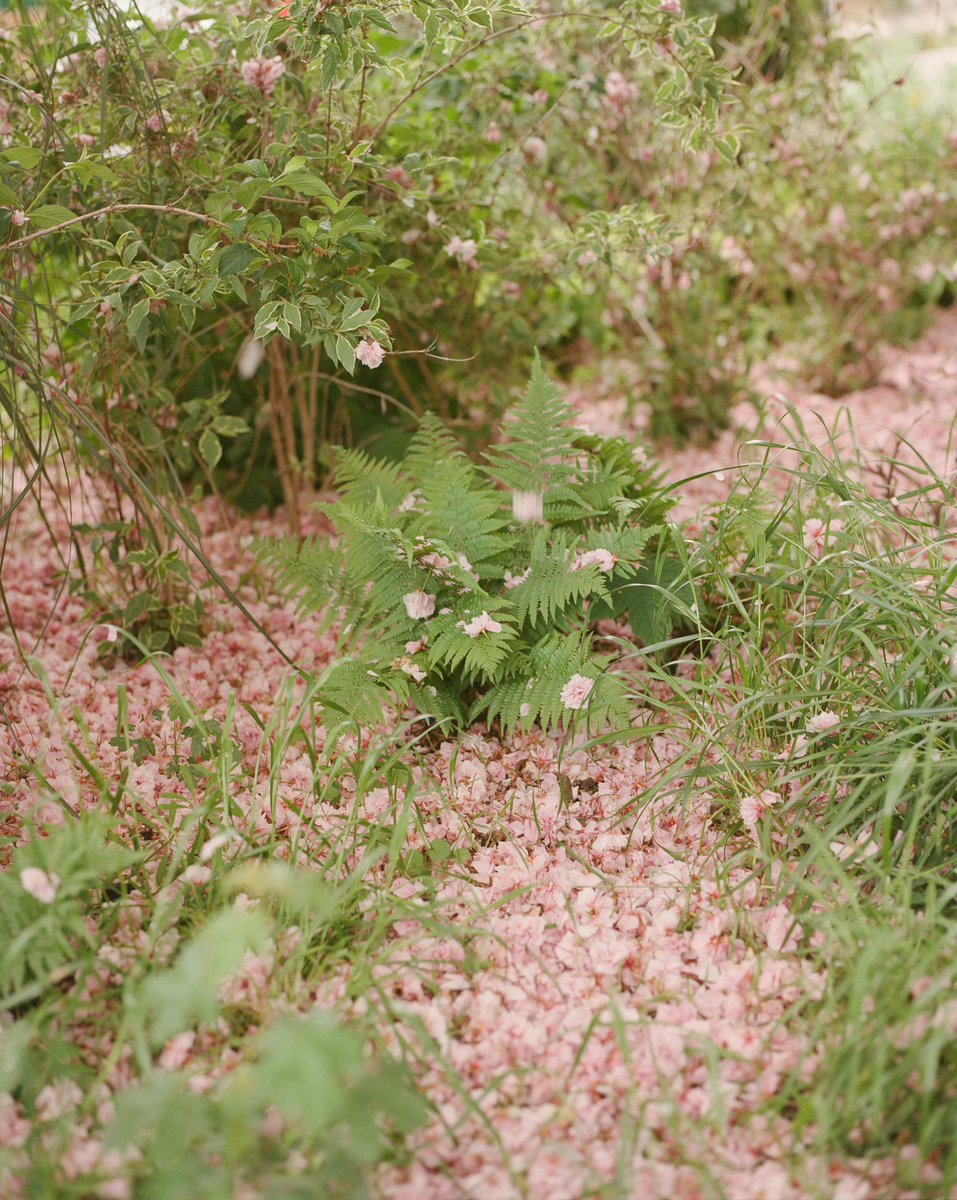 Freya Najade tweet media