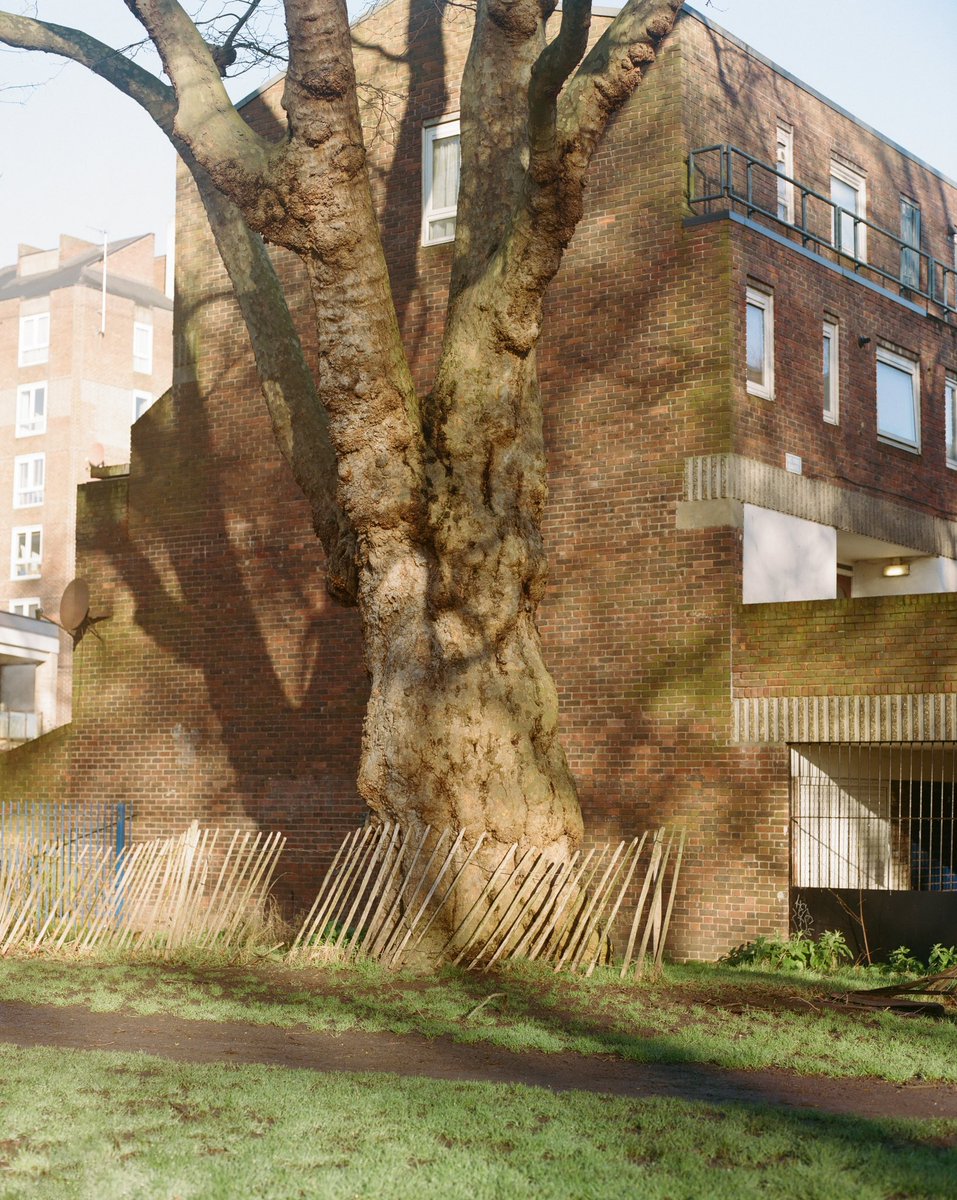 Freya Najade tweet media