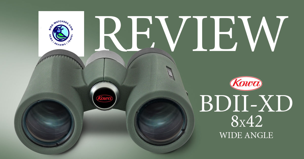 KowaOptics's tweet photo. New review! https://t.co/KeBtI2shtw recently reviewed the Kowa BDII-XD 8x42 binoculars. Read here: https://t.co/Q7jRqLehqV
#KowaOptics #BDII #Binoculars #Review https://t.co/mQ8SIyLmSB
