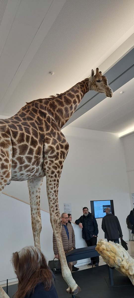 NRobert_SVT_OT's tweet image. #JDSVT @ac_orleanstours @SVT_OT au #MOBE @VilledOrleans 
Formation des professeurs de SVT