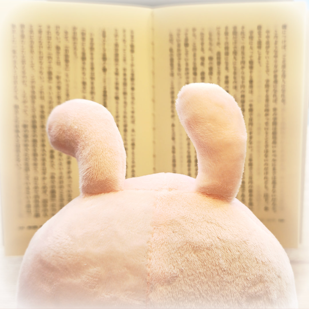 AnipangFriends's tweet photo. 今日は #世界本の日 だって！
では、私も記念にちょっと読書をしようと...
あれ？なんかちょっと眠いような...💤

#アニパン #Anipang #アニパンパズル #AnipangPuzzle #アニパンフレンズ https://t.co/6jpe4lzhOK