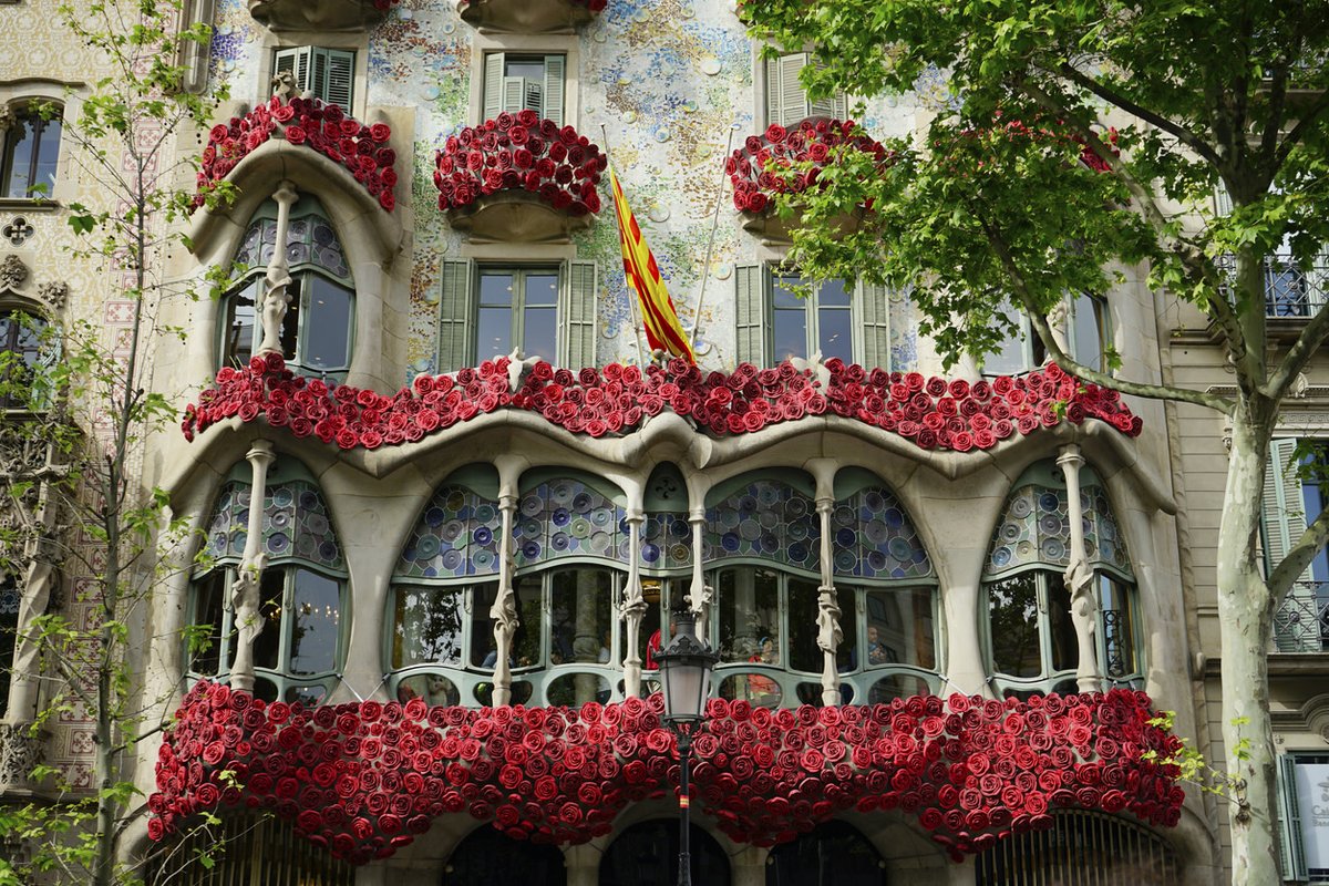 Arriva #SantJordi, la festa più amata di #Barcellona! 

Il 23 aprile la città si riempie di libri e rose per celebrare l'amore e la letteratura. 🌹📚 

Scopri di più 👉bit.ly/3ZvME01

#VisitSpain #SpainUrban #SpainTraditions @catexperience @VisitBCN_ES