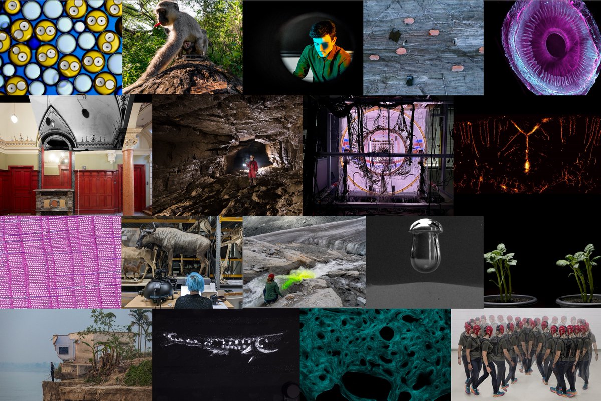 Discover the 18 prize-winning photos and videos in the SNSF Scientific Image Competition 2024 and take a journey inside an eye, high above a glacier, into the organised chaos of an experiment or the inside of an imposing cave. sohub.io/ypv2 #SwissScienceImage