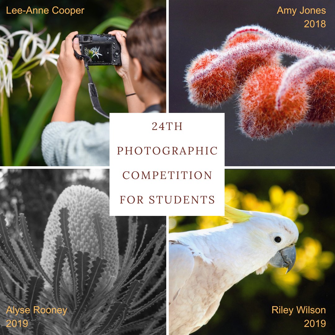 ✨Attention school students and teachers✨ The Photographic Competition for Students is returning in 2024! 🏅Prizes for winning entries - see the Friends website for info: brnw.ch/21wJ4GJ