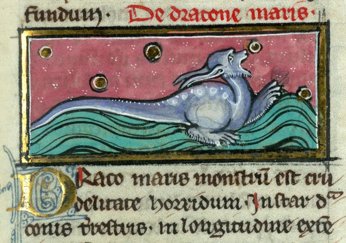 sǣ-draca, m.n: sea-dragon. (SAE-DRAH-ka / ˈsæː-ˌdra-ka) Image: Liber de natura rerum; France (Abbaye de Saint-Amand), 13th century; @BibValenciennes MS 320, f. 114r. #OldEnglish #WOTD