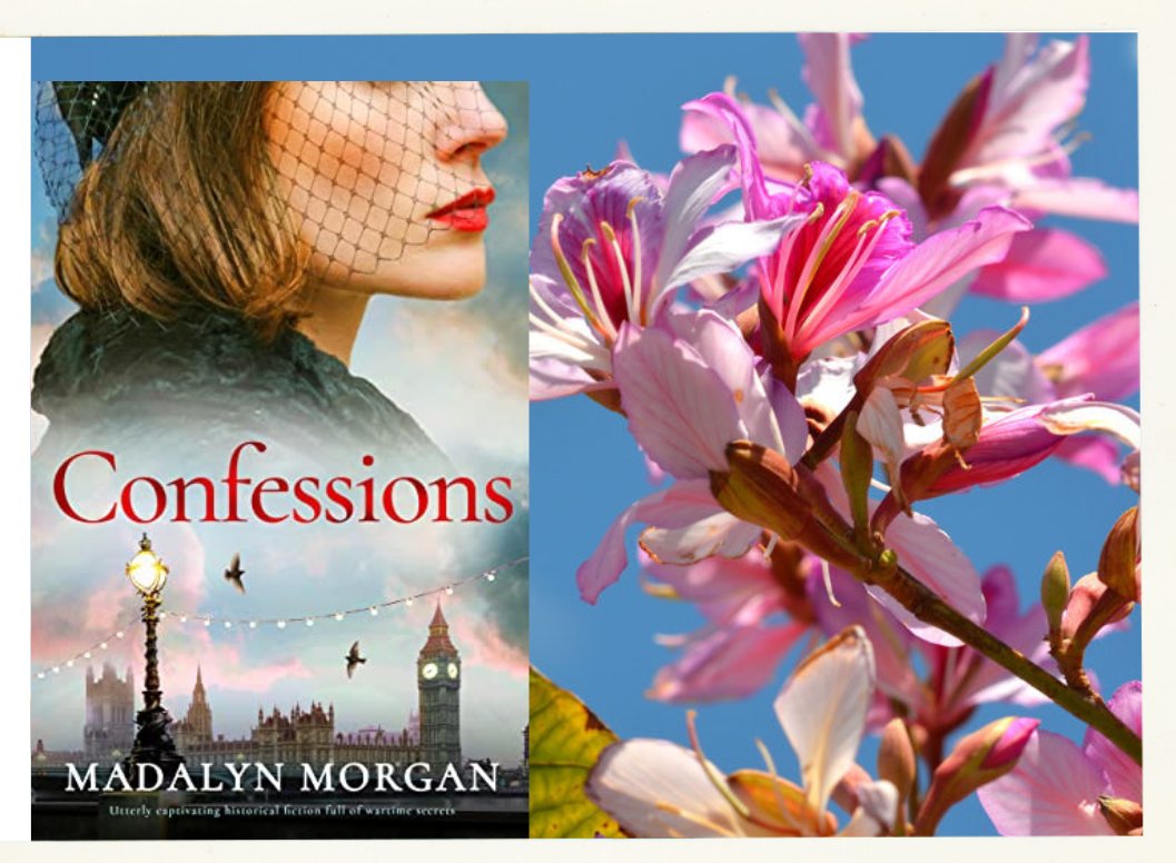 Confessions by Madalyn Morgan @Stormbooks_co Ena Dudley's day takes a shocking turn when she sees a woman whose funeral she went to ten years before in Selfridges department store. #Kinde #KindleUnlimited #Paperback #TuesNews @RNAtweets Confessions: geni.us/242-rd-two-am