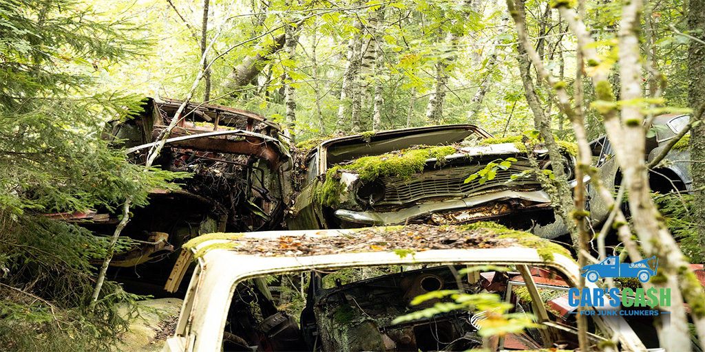 carscashdenver's tweet image. "🚗💥 Unleash your inner mechanic with Clunker Junker! Transform old rides into sleek machines. Get ready to revamp and roll with us!

carscashforjunkclunkersdenver.com

#ClunkerJunker #RevampYourRide 🛠️🔧"