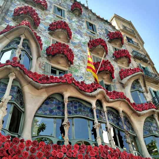 La Diada de Sant Jordi, el 23 de abril, se celebra en Cataluña, España. Este día también se conoce como el Día de los Libros y las Rosas. En este día se celebra el amor y la literatura en toda Cataluña. Se intercambian libros y rosas.  #Cataluña #SantJordi2024