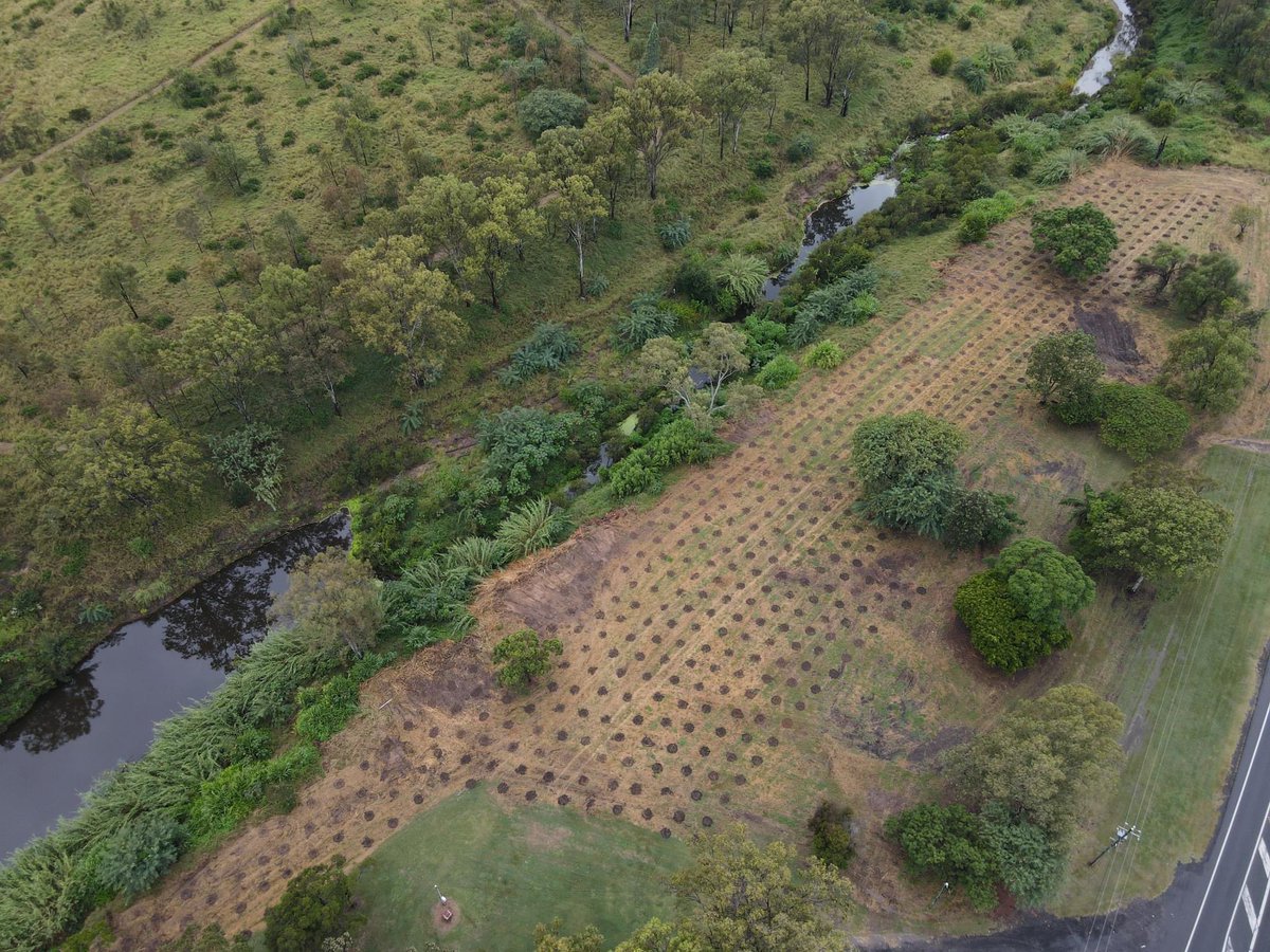 Mayor Tanya Milligan tweet media