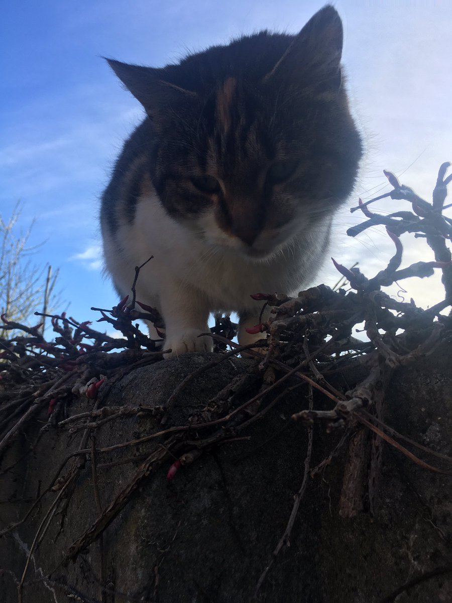 Guten Morgen! Katinka alias Madame Einaudi hat den vollen Überblick!