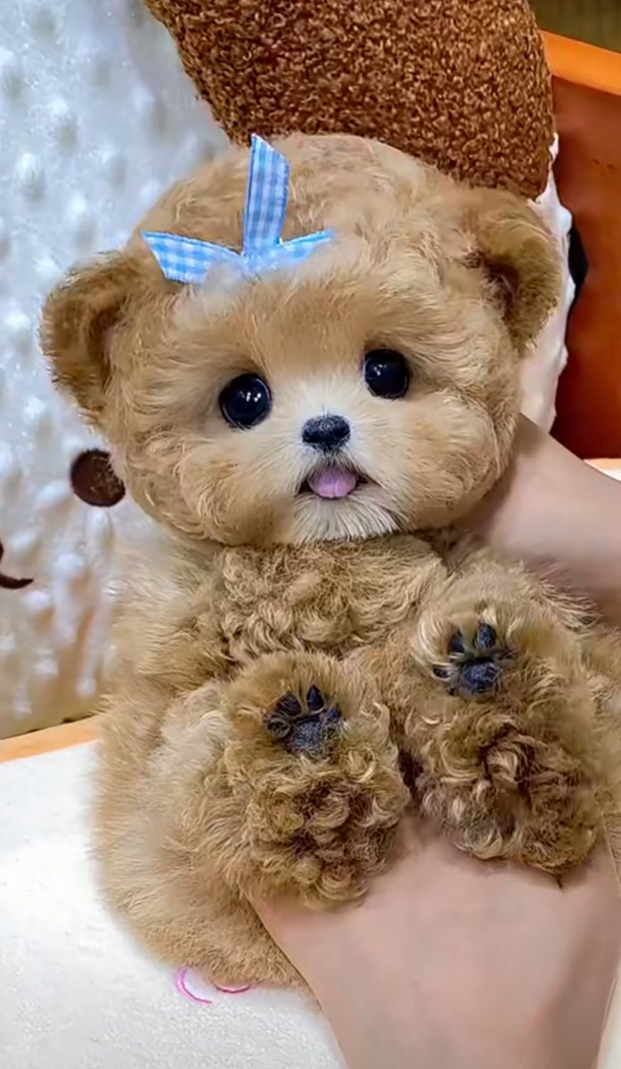 PayInOut's tweet image. 