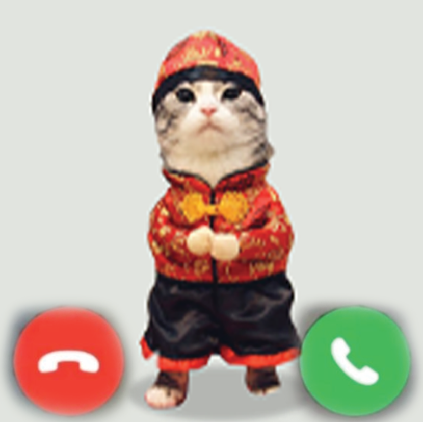 BaoCatSol's tweet photo. 拉起宝贝我准备好了

$BAO 

Bang my line!!!

ca:
ByQ75t1BhPJ2CwiUKcwqxDautT6vjdw74kzRUwKofxNs https://t.co/nWy5HoO7mi
