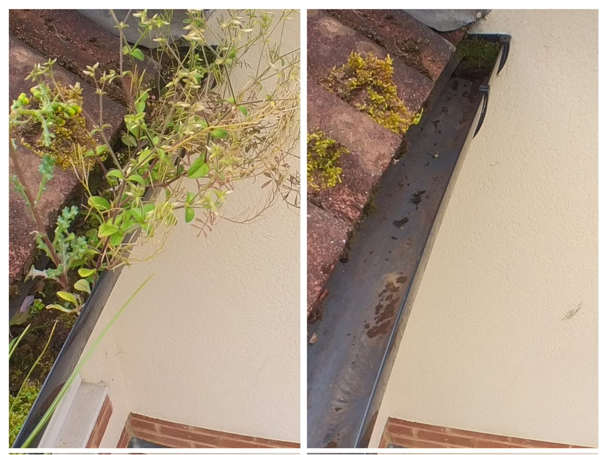 Keeping Gutters clear will prevent damage to your property.
#GutterCleaning #WFP #SkyVac #Tadworth #Kingswood #professional #WindowCleaning #Cleaning