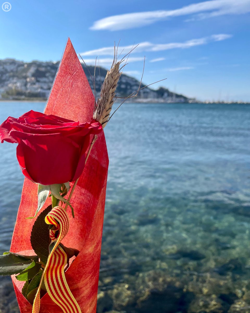 VisitRoses's tweet photo. Feliรง Diada de Sant Jordi! ๐ป๐น๐ป๐น๐ป๐น๐ป๐น๐ป
๐ก๐ฉธ๐ ๐ธ๐๐คด
#SantJordi #SantJordi23 #SantJordi2023 #DiaDelLlibre #DiaDelLibro #BookDay #aRoses #VisitRoses #LivingRoses #BadiadeRoses #EmpordaTurisme #HolaRoses #InCostaBrava #CatalunyaExperience #Rosa #Rose #Roses #Llibres https://t.co/BXkdFdzzwb