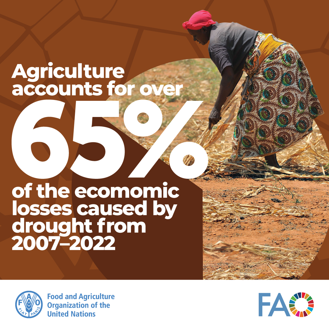 #DYK? Agriculture accounts for over 6⃣5⃣% of the economic losses caused by drought from 2007 to 2022? Join the conversation with partners of the Global Framework on Water Scarcity in Agriculture #WASAG at @FAO HQ & online. Mark your calendar & register! tinyurl.com/5f42cs5u