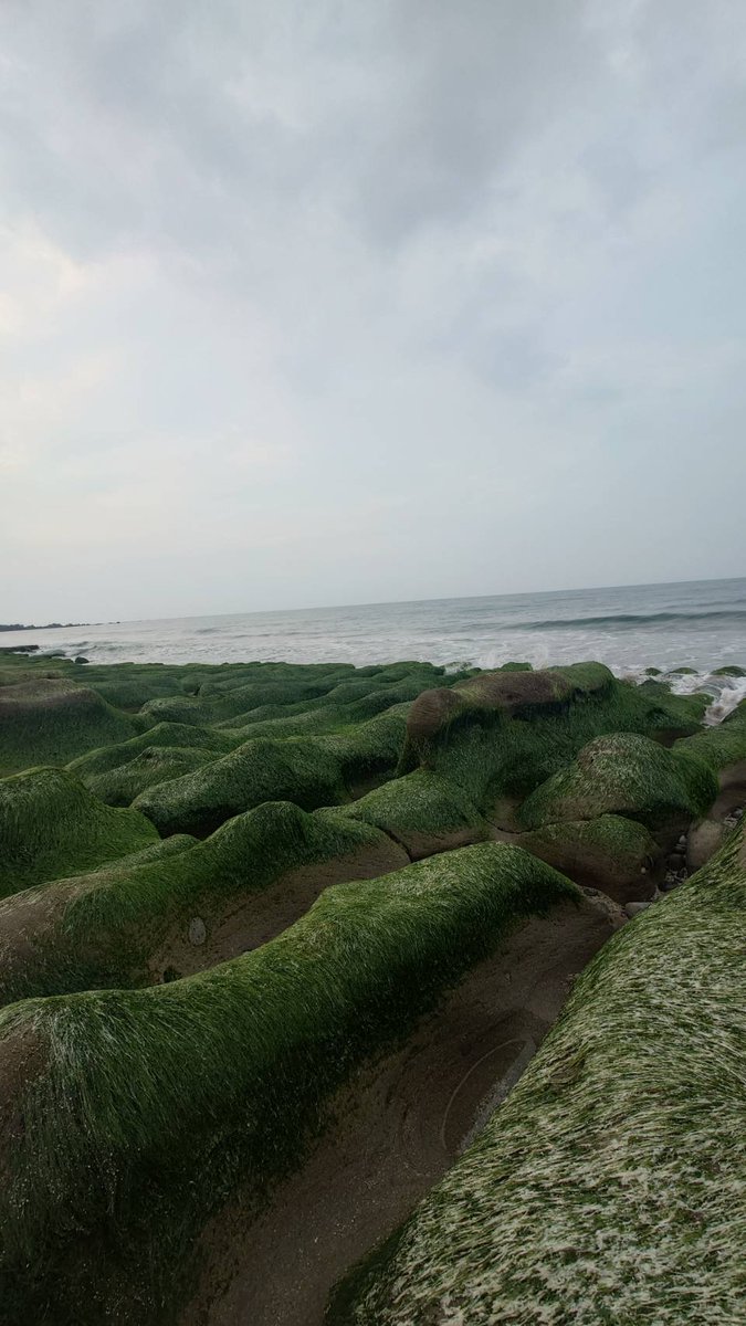 跟朋友出遊
北海岸一日遊
上午情人湖 走走步道
中午海鮮餐廳吃到爆
各種CP值高的海鮮 昶帝嶺海鮮餐廳很棒
下午老梅石槽海風吹到爆
充實的一天
人數眾多的一天
很熱的一天 https://t.co/8oyj7fVepG