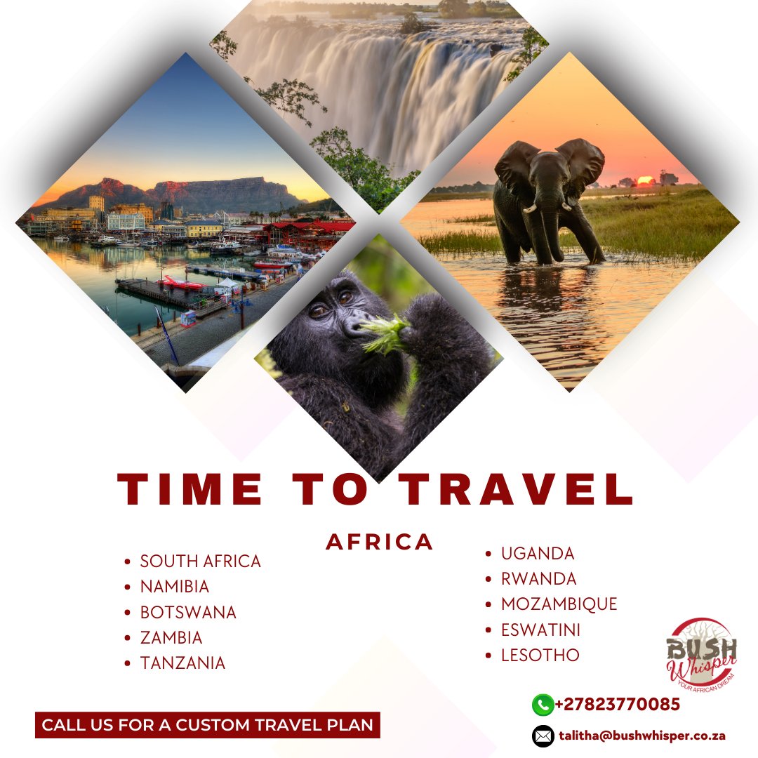 Time to travel AFRICA.
Contact us to plan your next tailored African Safari.

#lovetotravel
#tailoredsafaris
#wedoitbest
#loveafrica