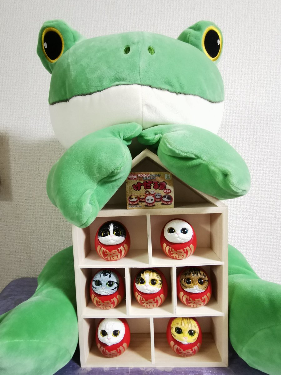 Bglgz5JzueCP4X7's tweet photo. DAISOで売ってた仕切りウッドボックスが、けだるまちゃんたちにピッタシ(死語？)だった😆
こまは今日も先代猫ハウスを潰して寝ております✨
#猫好きさんと繋がりたい 
#猫のいる暮らし 
#けだるま
#emptycan https://t.co/89KyDu882w