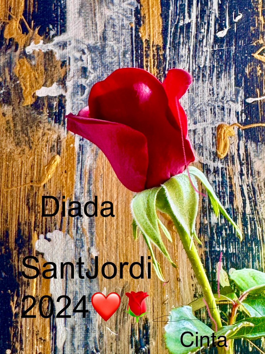 #diadadesantjordi📙🌹❤️   #diesdellibres📙📘 #santjordi2024❤️🌹📘#Felicitas #JordisiJordines❤️ #cambrils #santjordialport