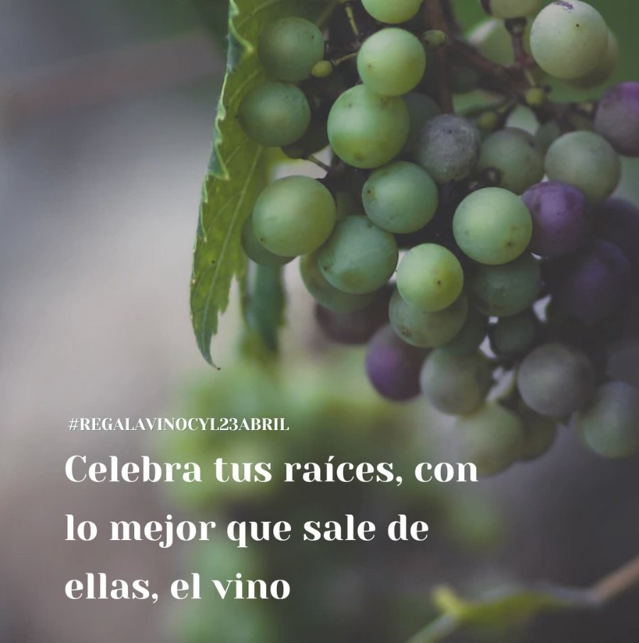 ¡Feliz día de Castilla y León! 23 de abril, un día especial para regalar vino de Castilla y León. #RegalaVinoCyL23Abril y celebra tus raíces con vino.