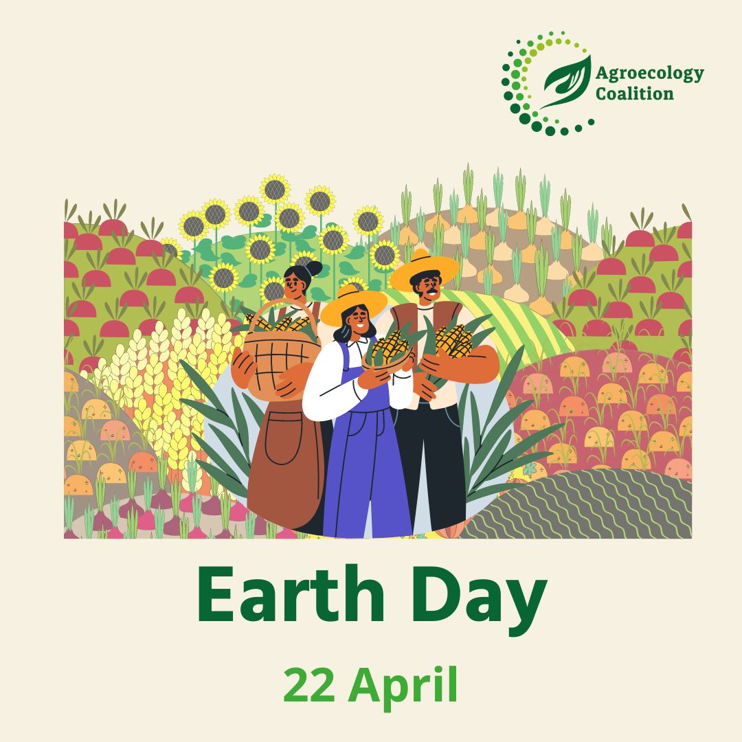 🌏Yesterday we celebrated #EarthDay! 👩‍🌾#Agroecology allows to farm with nature- not against it. 👉Take a look at our case studies page to find many concrete examples of agroecology in action: agroecology-coalition.org/agroecology-ca…