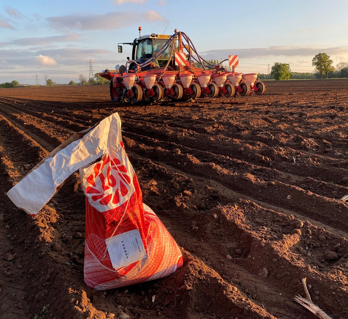 Check soil temperatures before drilling! 🌽

Maize seed needs to be drilled into soil that has consistently reached 10⁰C for 4 days before drilling, also check that the weather is set to stay warm for good establishment!

Check out our Maize Guide 👉 bit.ly/4aGrL8t