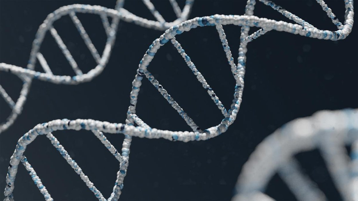 CMMetastasico's tweet photo. En nuestro blog 👉 el factor hereditario provocado por los genes de riesgo del cáncer de mama, y cómo pueden ser detectados como punto de partida para prevenir y tratar la patología.
@asociacioninvi @SEAGen_esp #DandoVidaATusMetas #CáncerMamaMetastásico
https://t.co/RJ5zG3uaPM https://t.co/PhWwbYqPxL